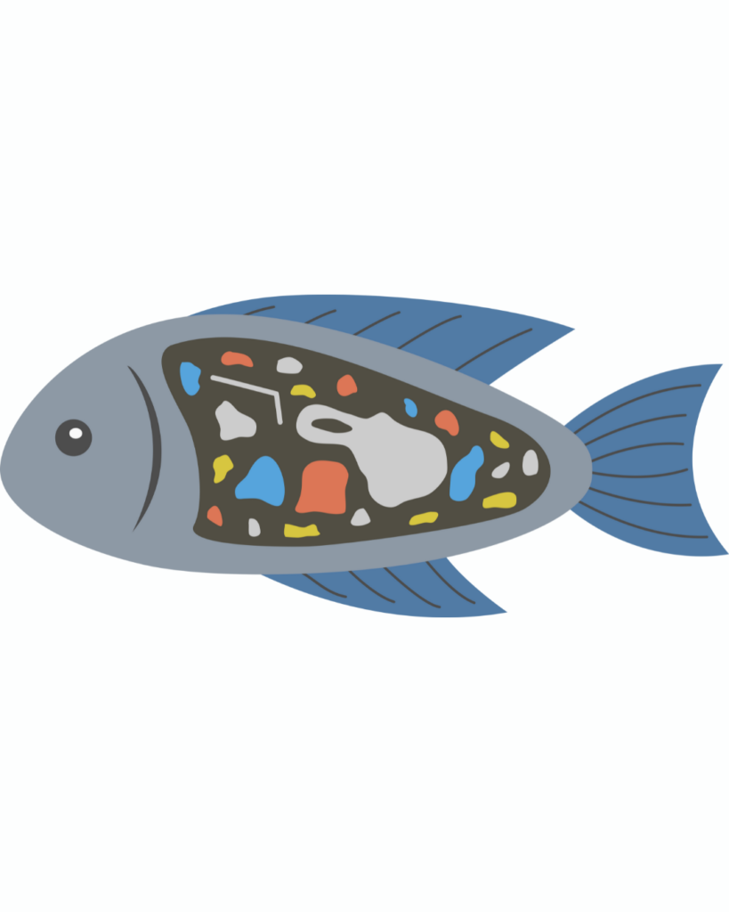 A graphic of a fish with a plastic bag inside its stomach representing that marine life digest microplastics from some skincare products.