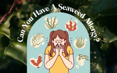 Can You Have A Seaweed Allergy?