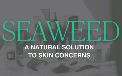 Skin Problems? Unlock the Power of Seaweed For Your Skin Concerns