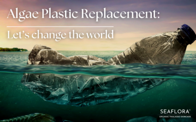 Algae Plastic Replacement: Unlocking the Potential of A Revolutionary Eco-Friendly Solution