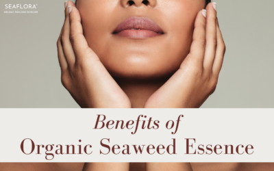 Ocean to Bottle: How a Moisturizing Essence with Organic Seaweed Nourishes Your Skin