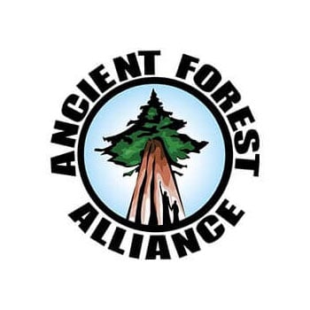 Donate to Ancient Forest Alliance