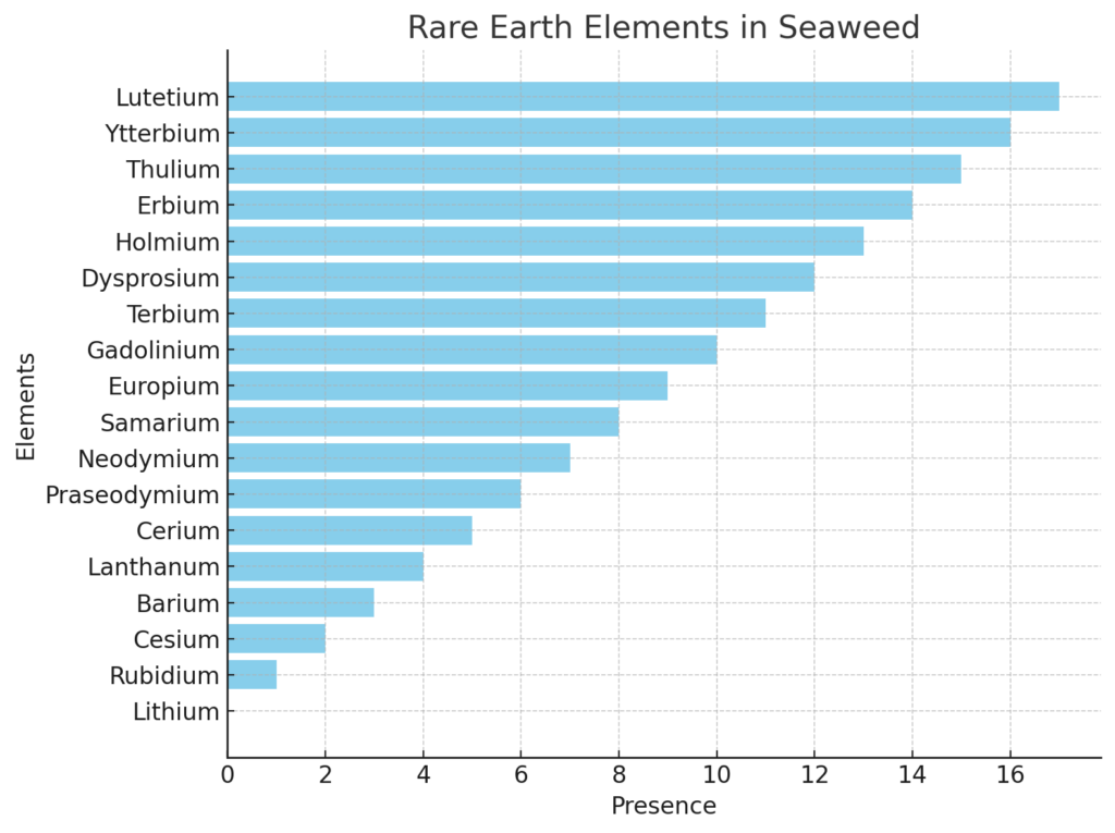 Rare Minerals in Seaflora Skincare