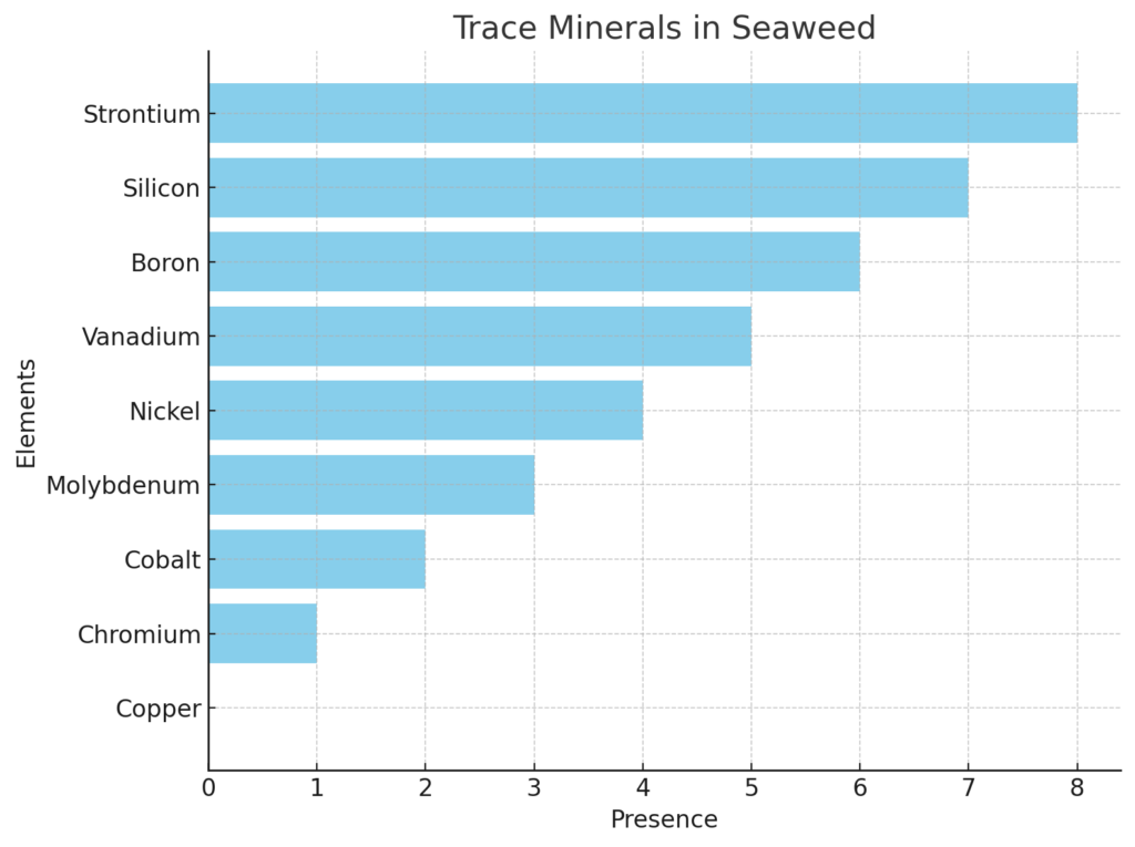 Trace Minerals in Seaflora Skincare