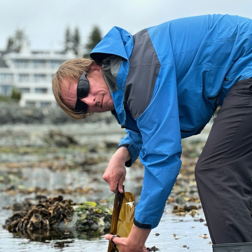 Adam Butcher sustainable seaweed harvesting