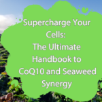 Blog banner featuring 'Supercharge Your Cells: The Ultimate Handbook to CoQ10 and Seaweed Synergy' on a green blob, set against a seaweed-covered beach.