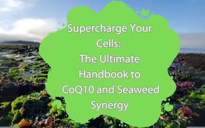 Blog banner featuring 'Supercharge Your Cells: The Ultimate Handbook to CoQ10 and Seaweed Synergy' on a green blob, set against a seaweed-covered beach.