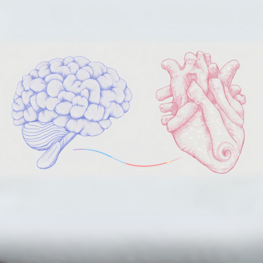 Brain and Heart