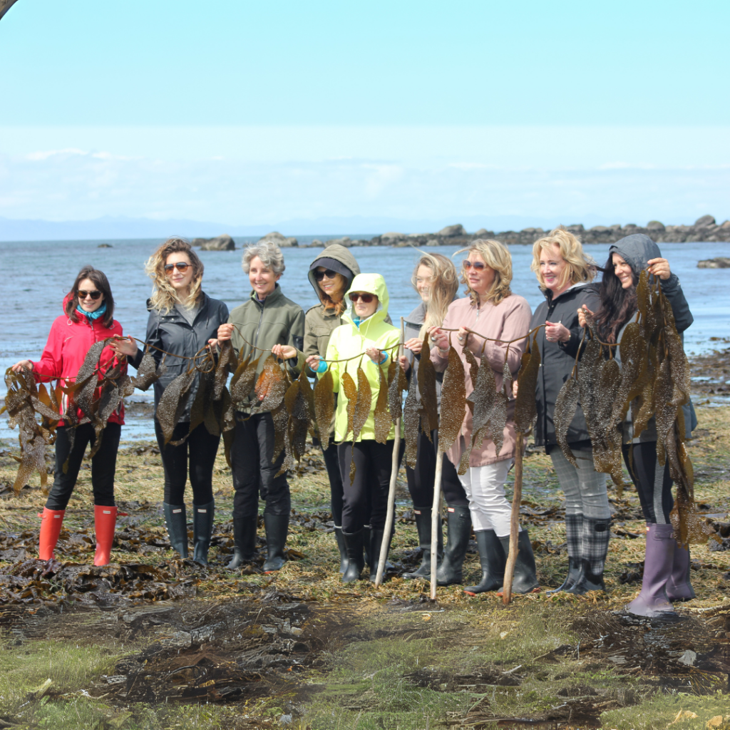 photo taken with harvested seaweed