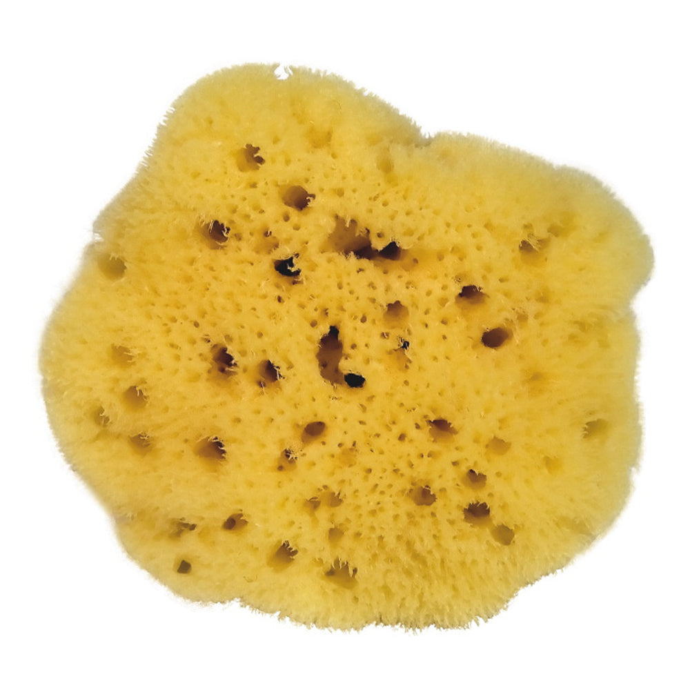 Organic Natural Sponges for Menstrual Wellness