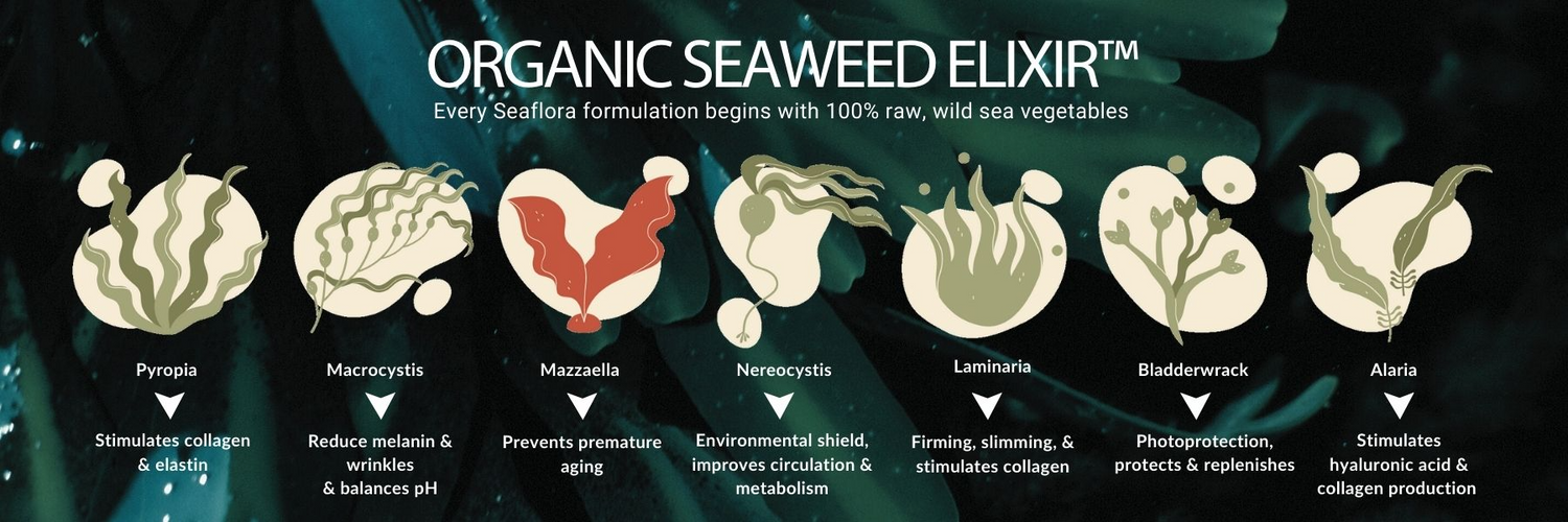 seaflora organic kelp elixir
